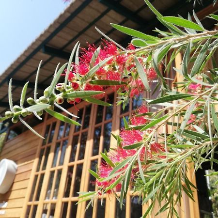 Paiyannoi Guesthome Chiang Mai Exterior photo