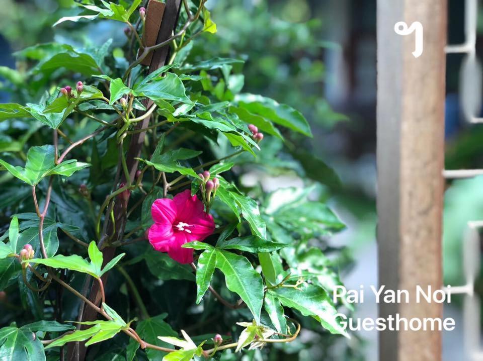 Paiyannoi Guesthome Chiang Mai Exterior photo
