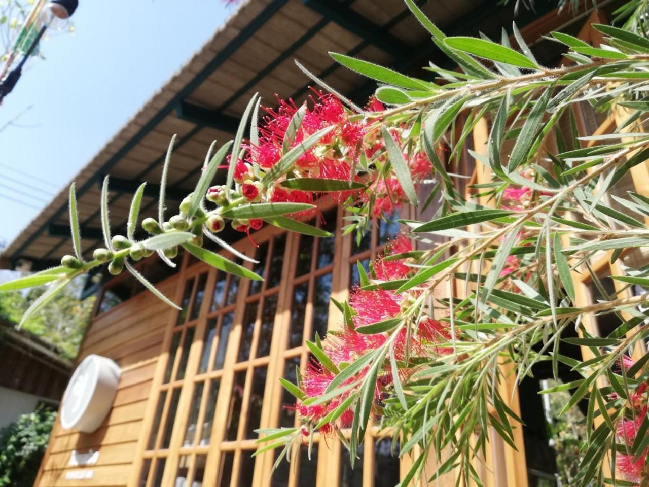 Paiyannoi Guesthome Chiang Mai Exterior photo
